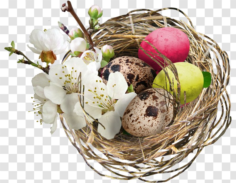 Easter Basket Egg Bird Transparent PNG