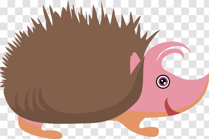 Hedgehog Clip Art - Vertebrate - Cartoon Vector Transparent PNG