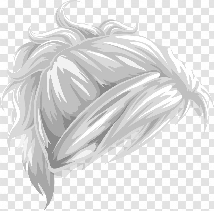 Hair Drawing Ponytail Clip Art - Canities - Long Transparent PNG