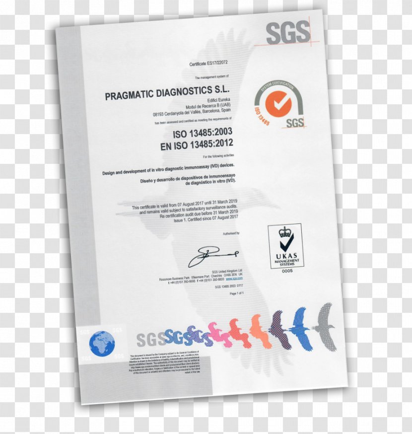 ISO 9000 9001 Quality Management System International Organization For Standardization - Business Transparent PNG