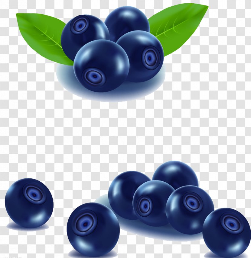 Blueberry Fruit Blackberry - Royaltyfree - Picture Material Transparent PNG