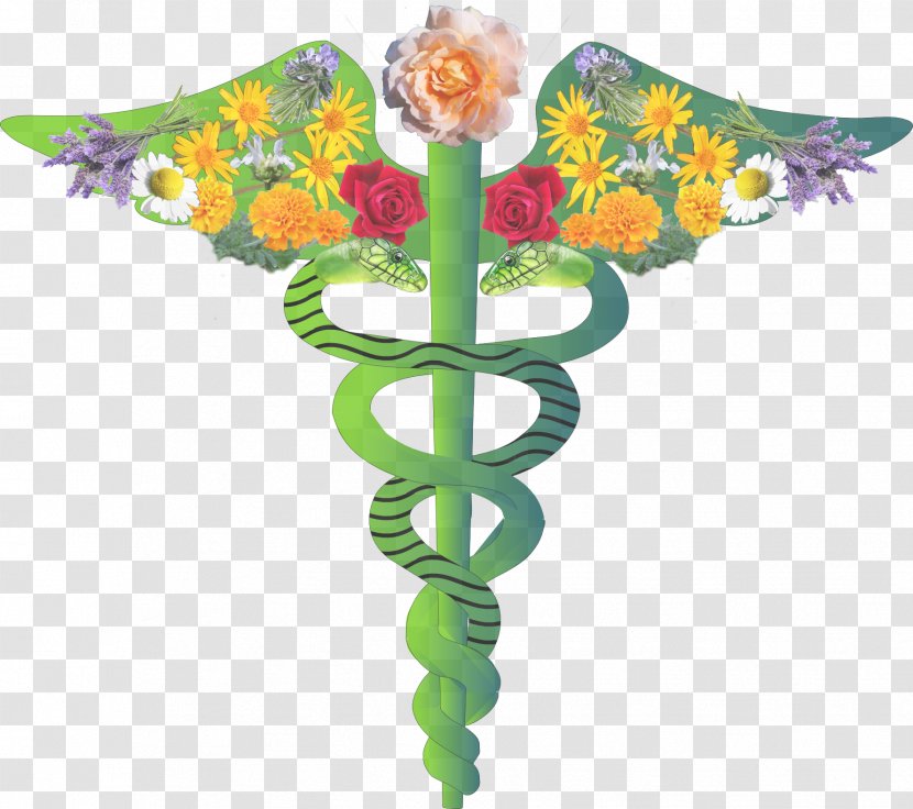 Physician Doctor Of Medicine Staff Hermes Health Care - Flower Transparent PNG