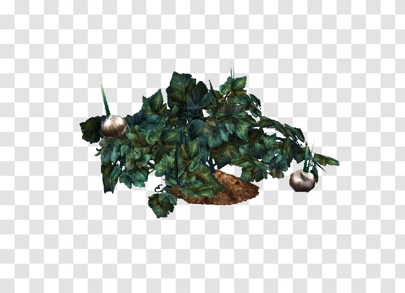 The Sims 3: World Adventures 4 Plant Resource Vine - 3 Transparent PNG