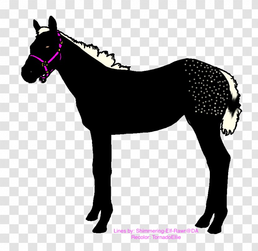 Daliboz Equestrian Arabian Horse Racing Harnesses - Watercolor - Sea Bunnies Breeding Transparent PNG
