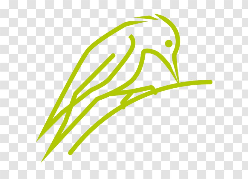 Leaf Grasses Plant Stem Clip Art - Grass Family Transparent PNG