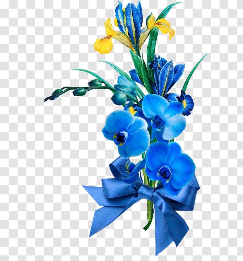 Clip Art - Flower Bouquet - Jasmin Transparent PNG
