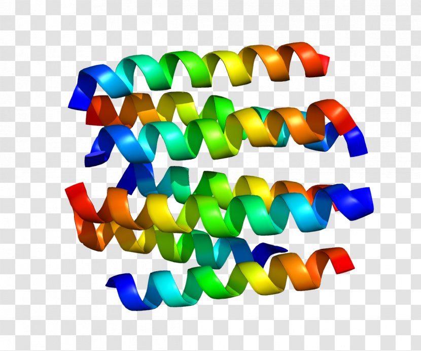 Dopamine Receptor D2 G Protein–coupled - Genetics - Ligand Transparent PNG