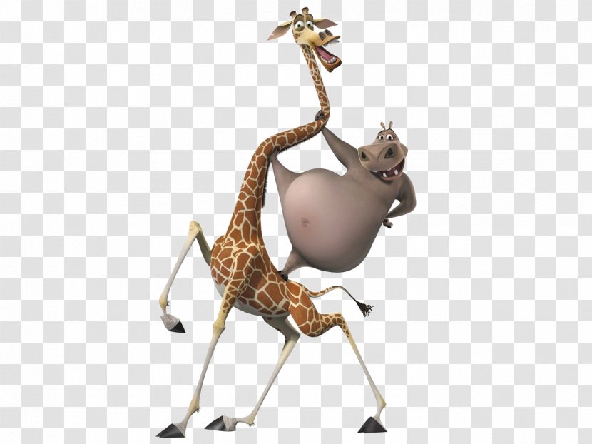 Gloria Melman Madagascar Animation Transparent PNG