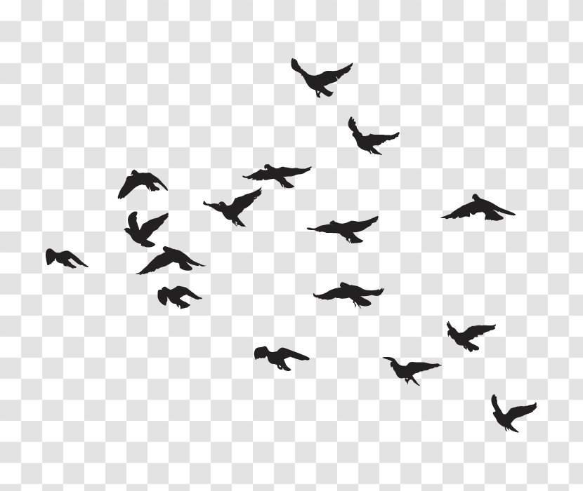 Bird Goose Flock Transparent PNG
