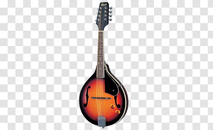 Mandolin Musical Instruments Eight-string Guitar String - Cartoon Transparent PNG