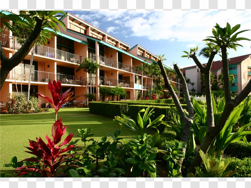 Maui Schooner Resort Hotel Scotch Mist Sailing Charters Beach - Landscaping - Fitness Transparent PNG