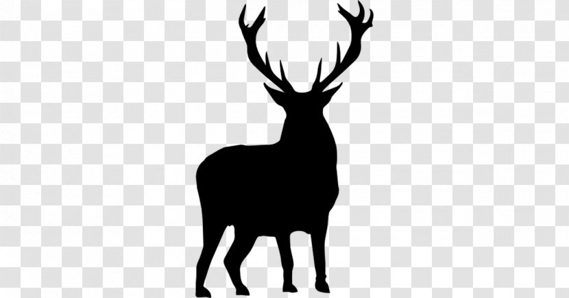 White-tailed Deer Moose Silhouette Clip Art - Head Transparent PNG