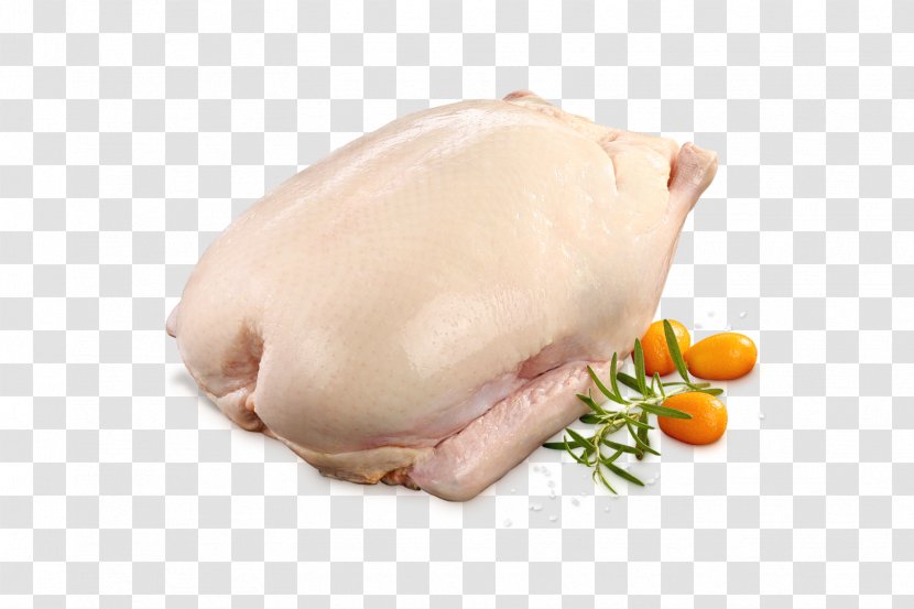 Duck Meat Turkey Mallard Chicken As Food Transparent PNG