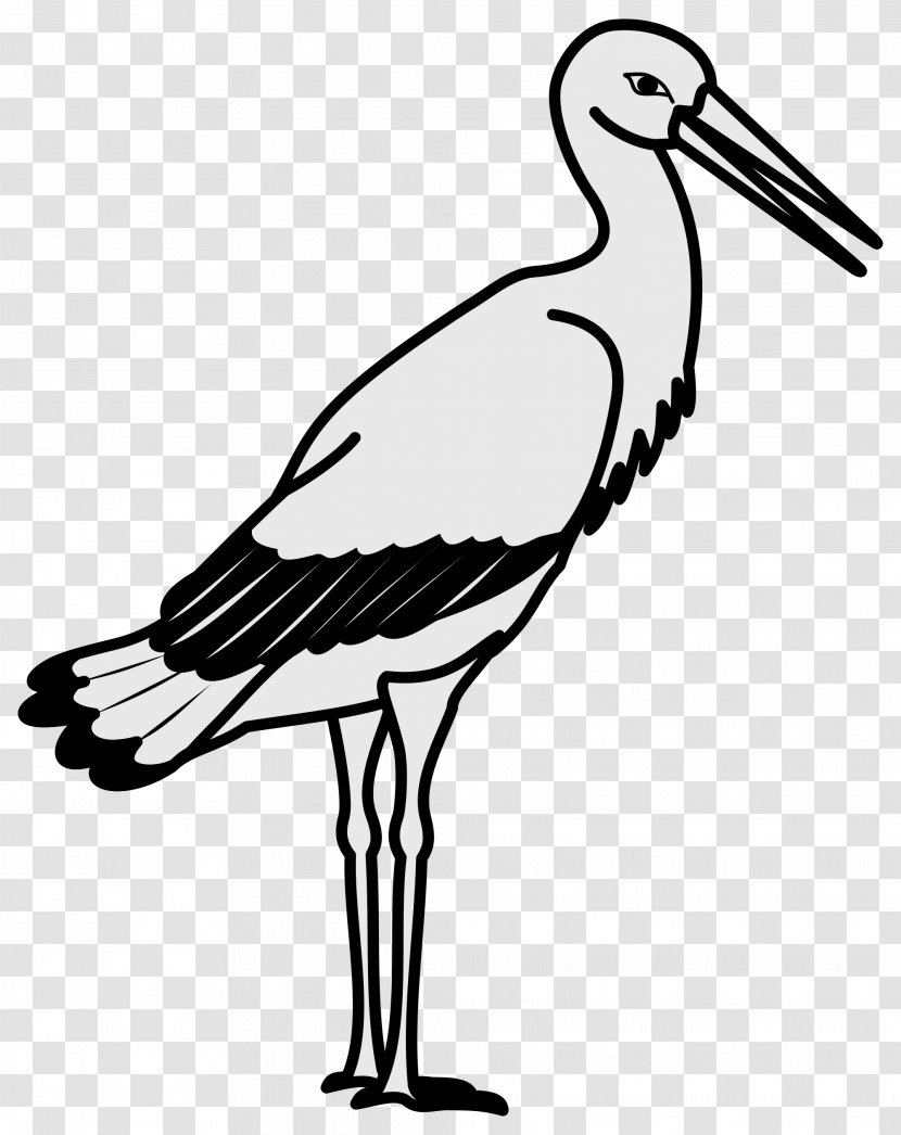 White Stork Crane Bird Clip Art - Seabird - Cartoon Transparent PNG