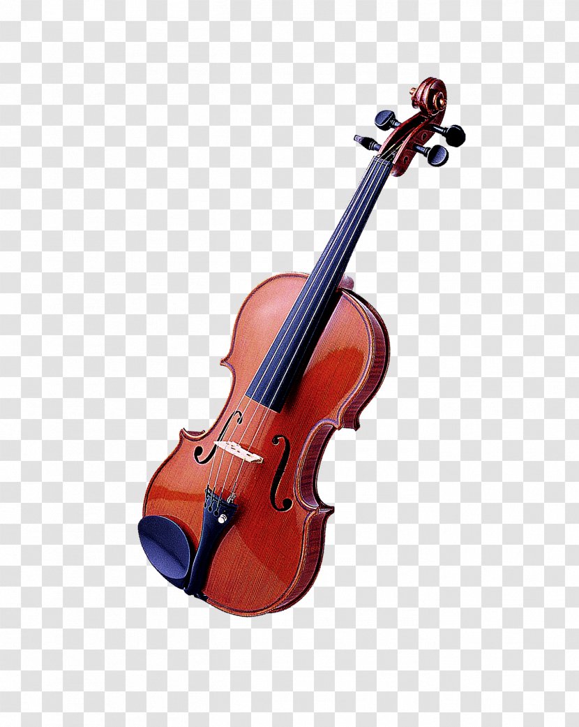 Bass Violin For Kids: Christmas Carols, Classical Music, Nursery Rhymes, Traditional & Folk Songs! Viola - Flower - Creative Exquisite Mahogany Transparent PNG