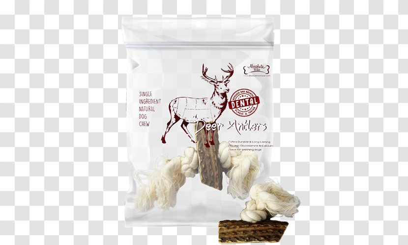 Dog Kohepets Pet Shop Antler - Deer Transparent PNG