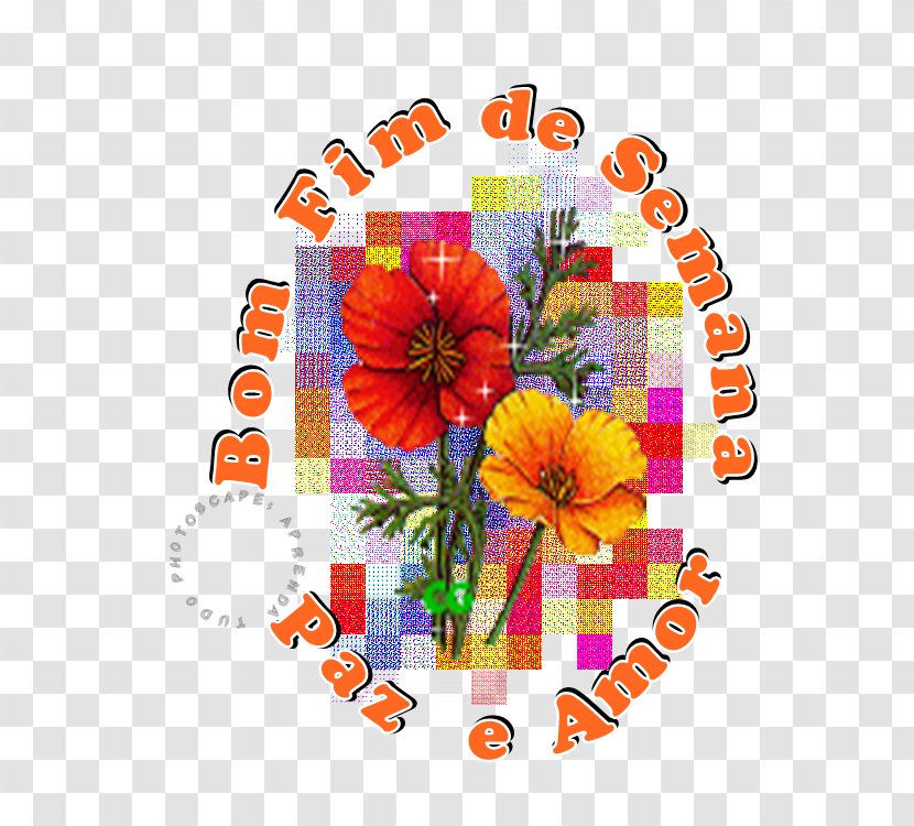 Floral Design Cut Flowers - Floristry - Mim Transparent PNG