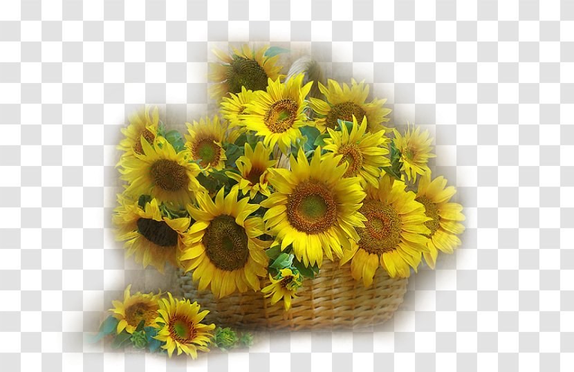 Sunflowers Painting Still Life - Sunflower Seed - Flower Transparent PNG