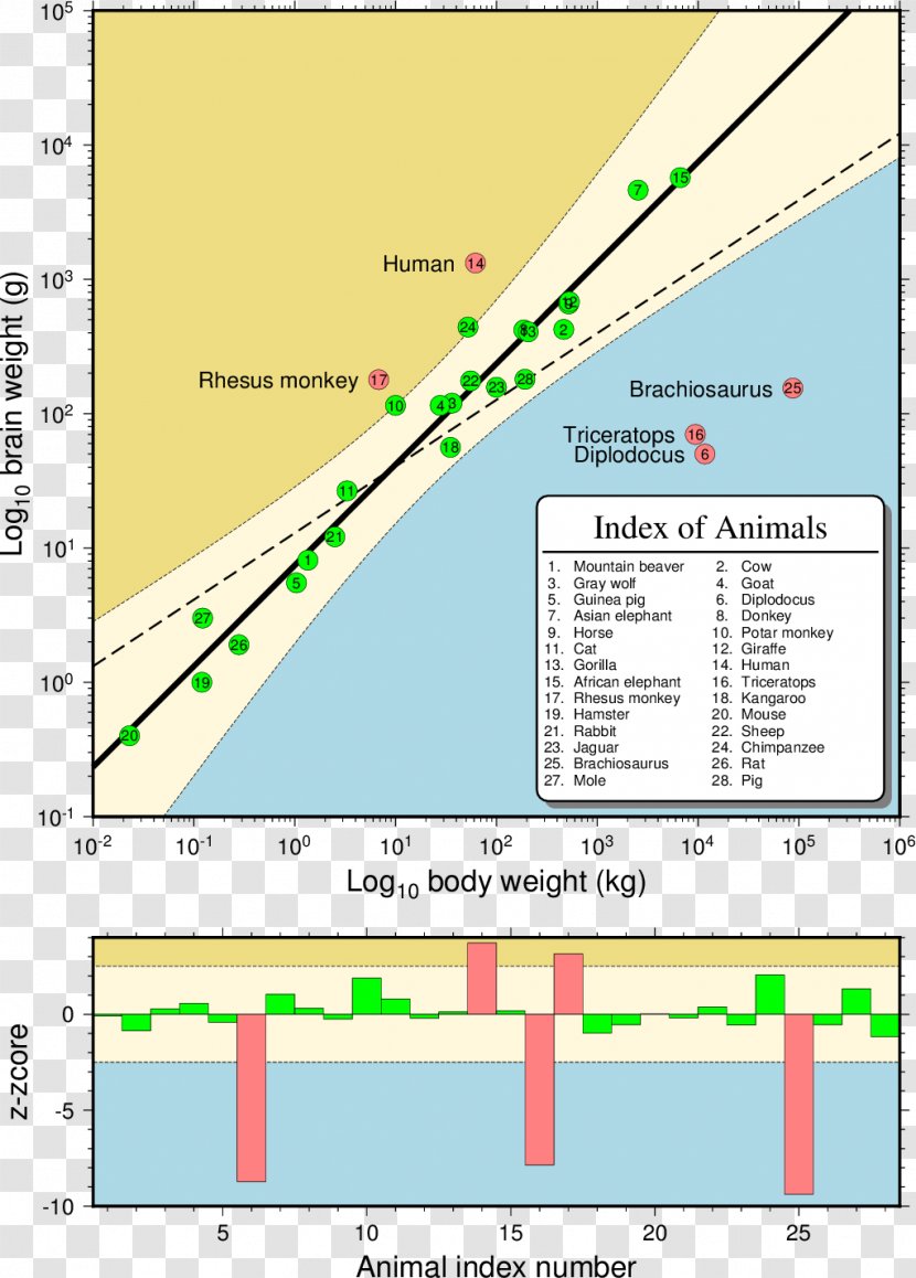 Scatter Plot Bar Chart Regression Analysis Histogram - Graph Of A Function - Outlier Transparent PNG