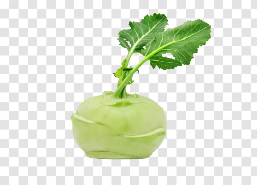 Kohlrabi Vegetable Food Delivery Broccoli - Leaf Transparent PNG