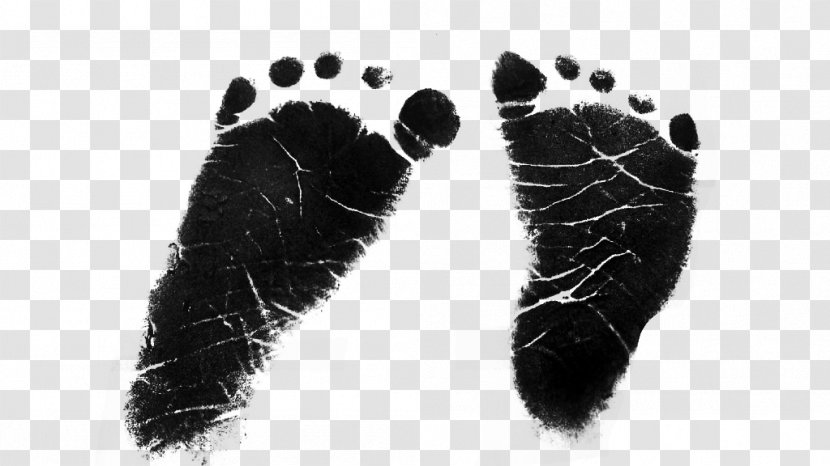 Black M Shoe - Paw - Baby Transparent Transparent PNG