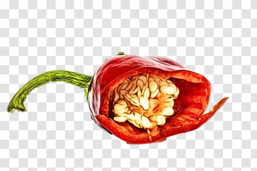 Peppers Peperoncino Cayenne Pepper Natural Food Nightshade Transparent PNG
