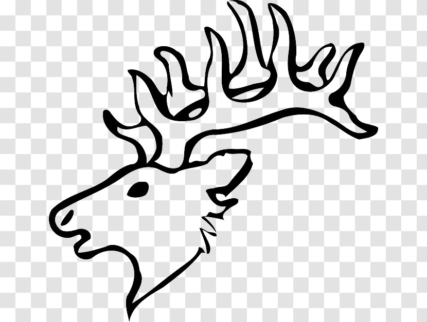 White-tailed Deer Drawing Reindeer Clip Art - Skull Transparent PNG