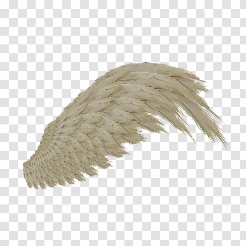 DeviantArt NASDAQ:WING Artist Stock Photography - Feather Wings Transparent PNG