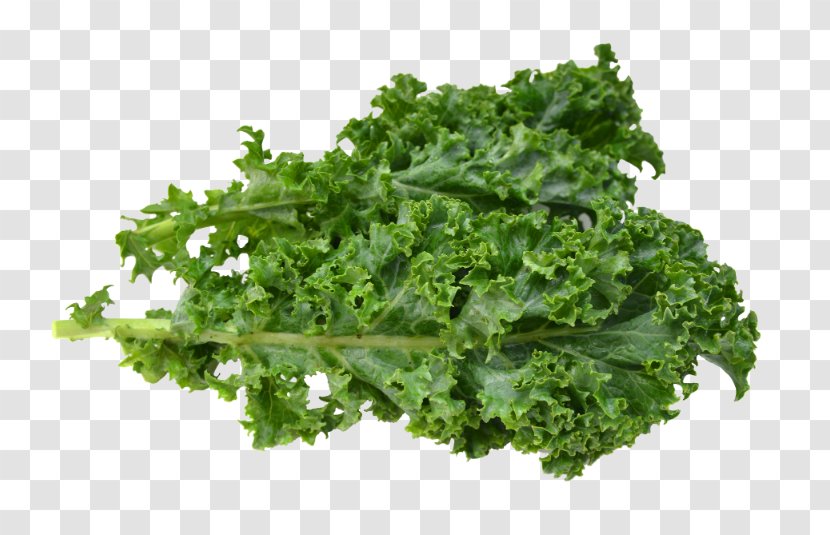 Leaf Vegetable Kale Nutrition Facts Label Food - Vegetarian Transparent PNG