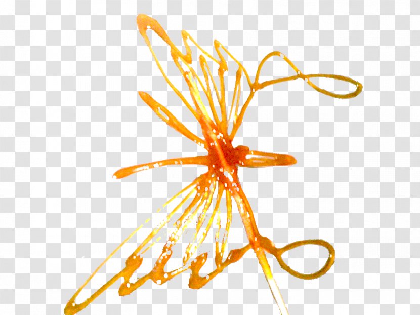 Clip Art - Orange - Caramel Butterfly Transparent PNG