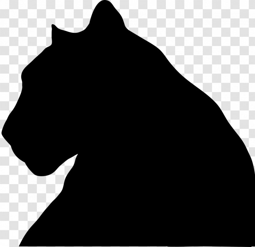 Black Panther Shuri Stock Photography Image - Blackandwhite - Wildlife Transparent PNG