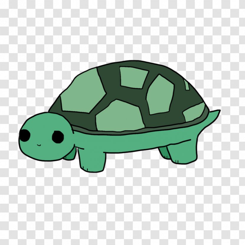 Tortoise Sea Turtle - Green Transparent PNG