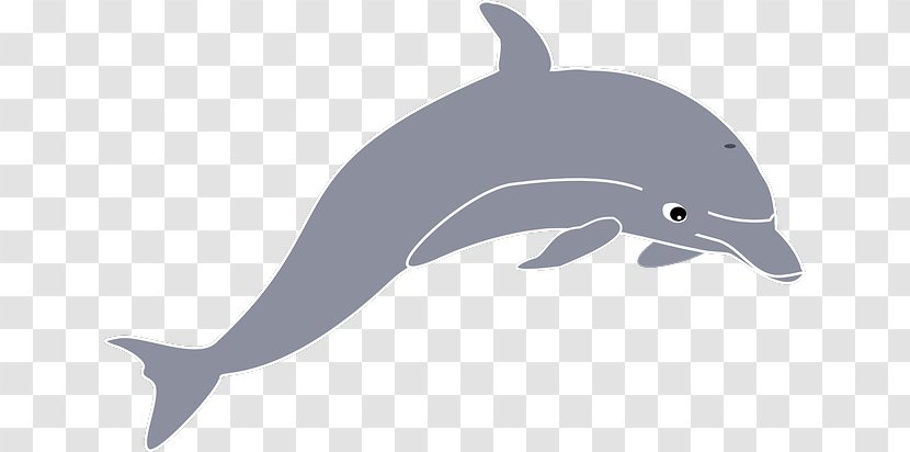 Clip Art Dolphin Openclipart Image Free Content - Short Beaked Common Transparent PNG