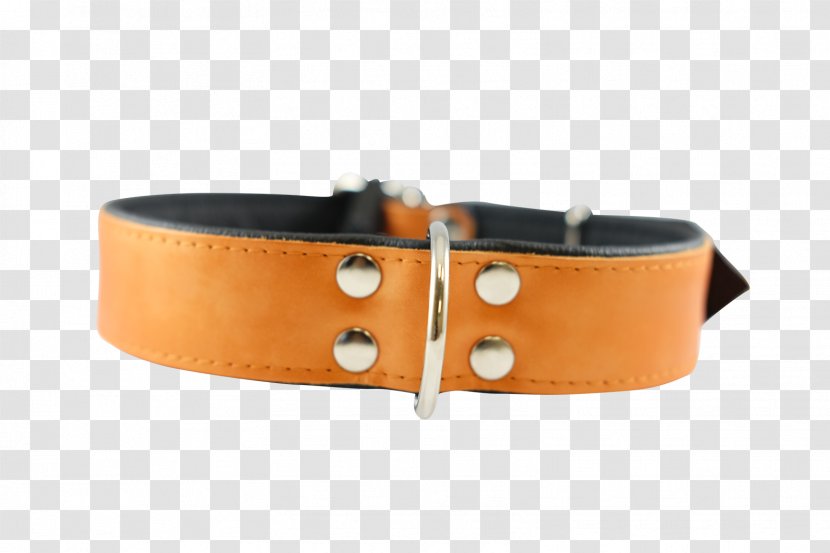 Belt Dog Collar Buckle - Orange Shopping Cart Transparent PNG