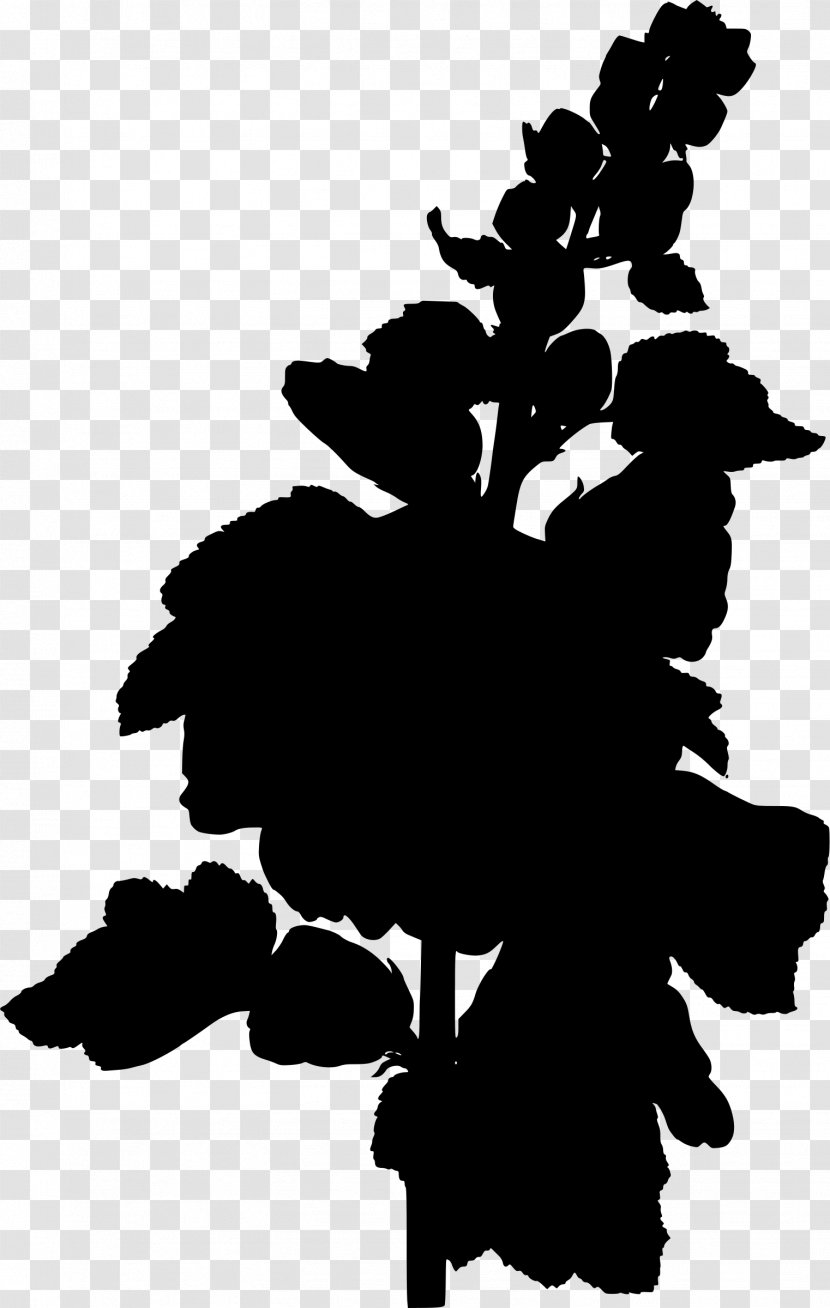 Köhler's Medicinal Plants Botany Clip Art - Black And White - Plant Transparent PNG