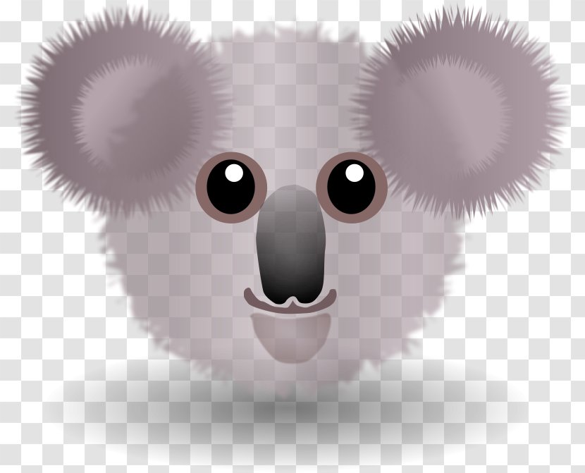 Koala Cartoon Face Clip Art - Carnivoran - Funny Transparent PNG