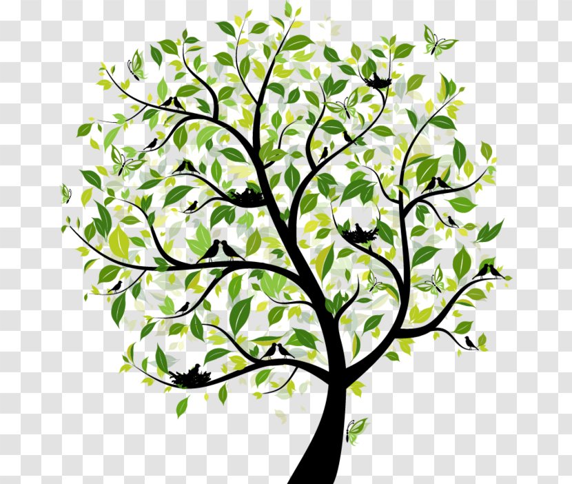 Tree Royalty-free Stock Photography Illustration - Branch Transparent PNG
