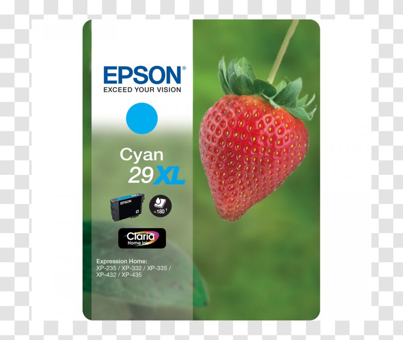 Ink Cartridge Epson C13T29934012 Paper - Strawberries - Expression Pack Material Transparent PNG