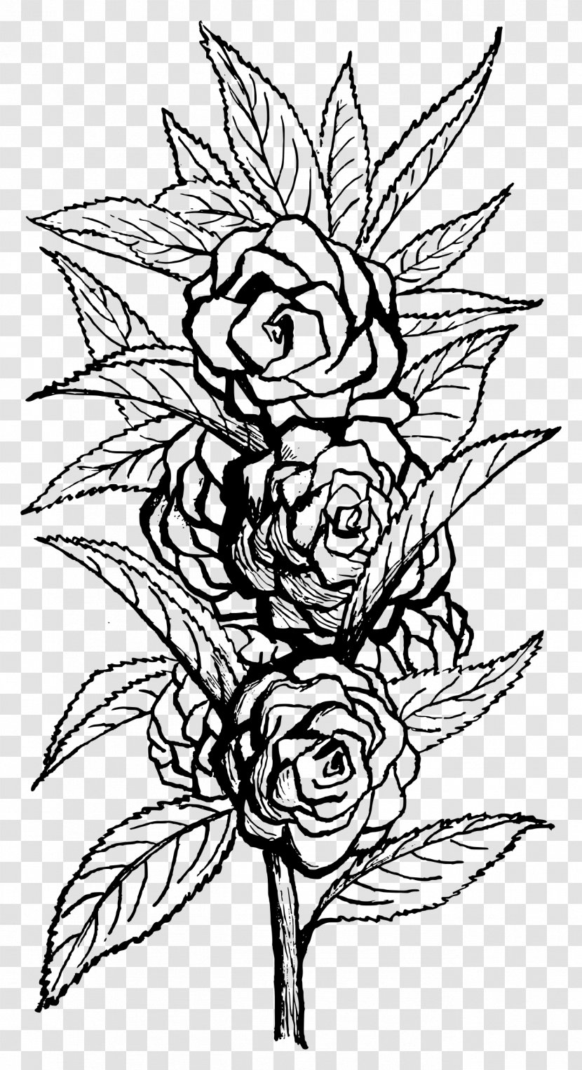 Floral Design Flower Clip Art - Motif - Peony Transparent PNG