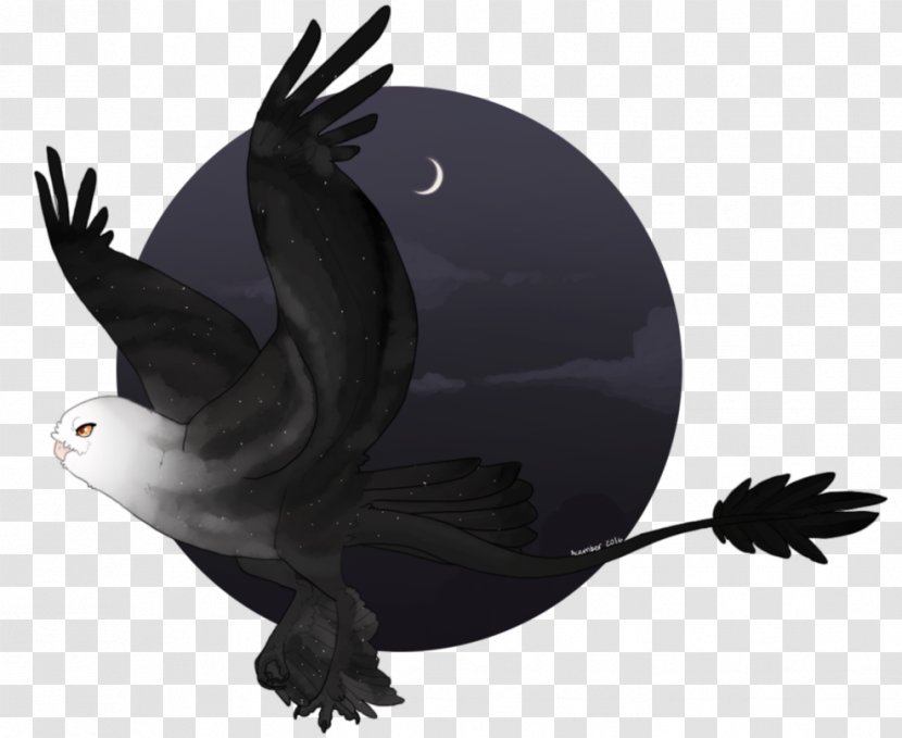 Beak Fauna - Bird - Advent Filigree Transparent PNG