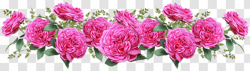 Floral Design Transparent PNG