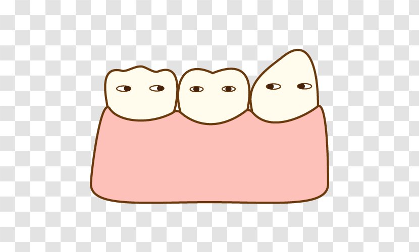 Dentistry 歯科 Dental Plaque 生活歯髄切断法 - Teath Transparent PNG