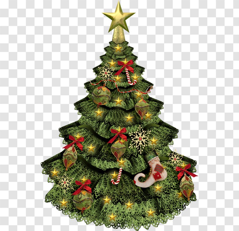 Christmas Tree New Year Ornament Day Spruce - Evergreen Transparent PNG