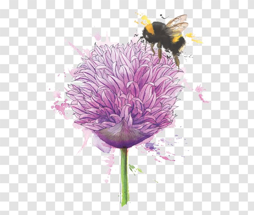 Floral Design Flower Chives Illustration - Arranging - Honey Bees Transparent PNG