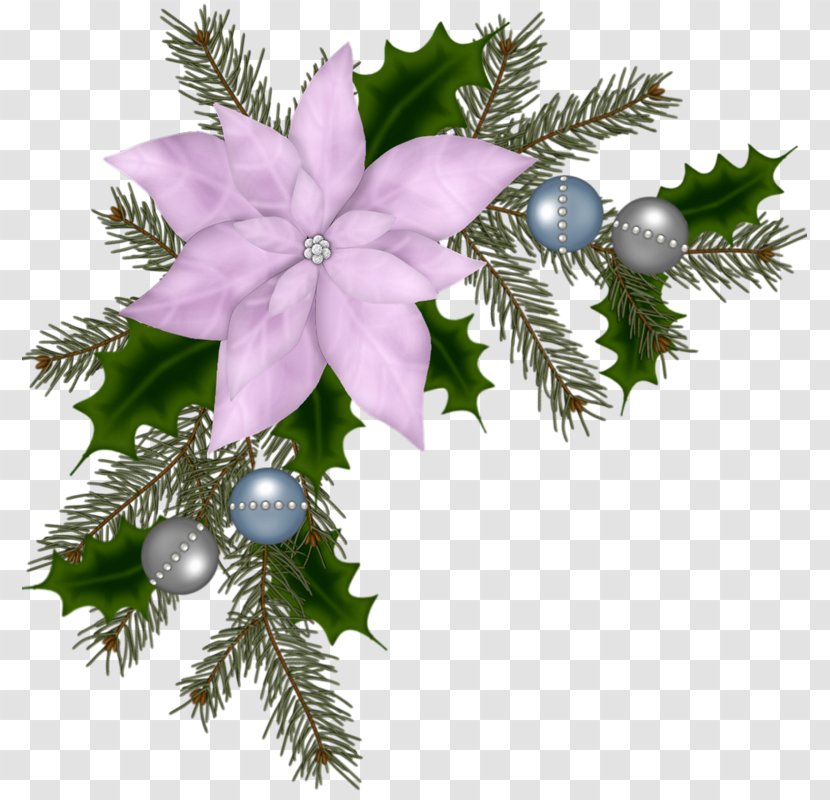 Christmas Ornament Decoration Flower Poinsettia - Branch - Garland Transparent PNG