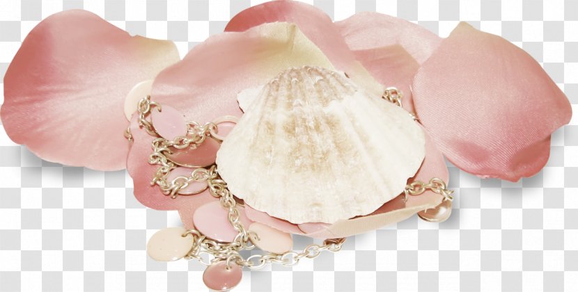 Peach - Petal - Coquillage Transparent PNG