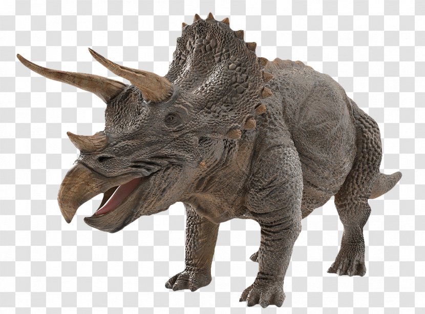 Dinosaur Triceratops/Triceratops Tyrannosaurus Image - Animal Figure Transparent PNG