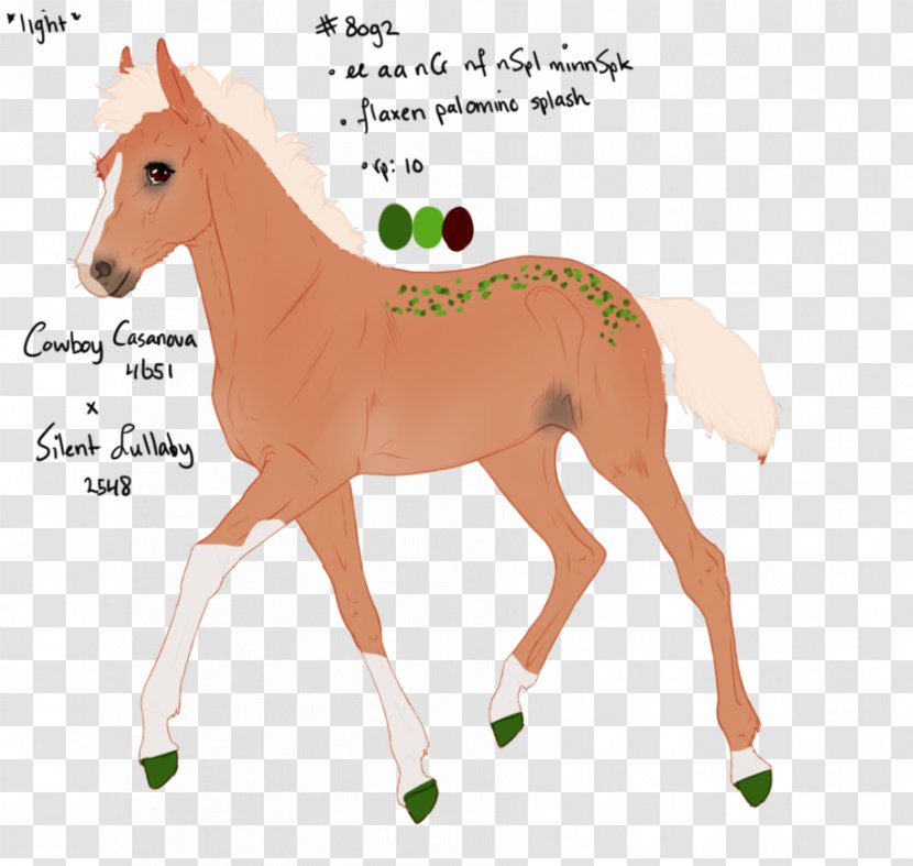 Mule Mustang Pony Stallion Foal - Horse Tack Transparent PNG
