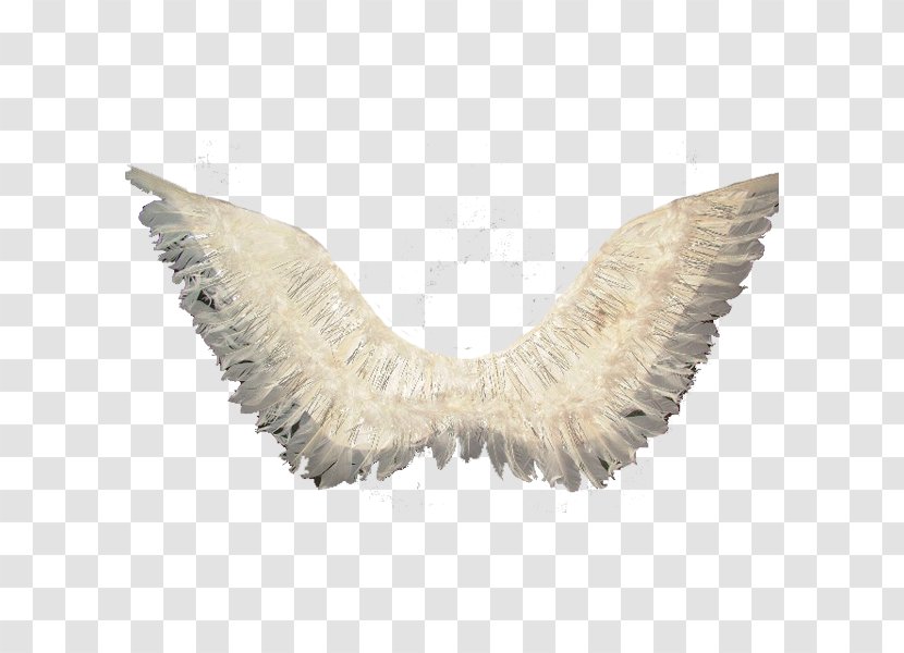 Angel Wing Feather Тропик Парти - Painting Transparent PNG