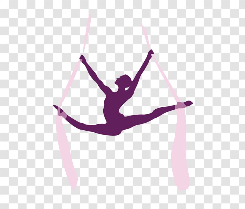 Acrobatics Aerial Silk Circus Pole Dance Gymnastics - Choreography Transparent PNG